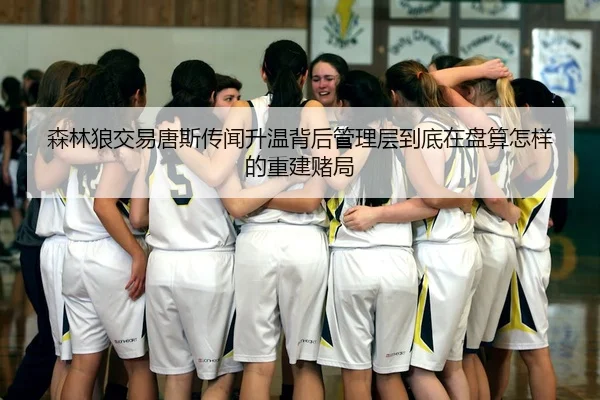 森林狼交易唐斯传闻升温背后管理层到底在盘算怎样的重建赌局
